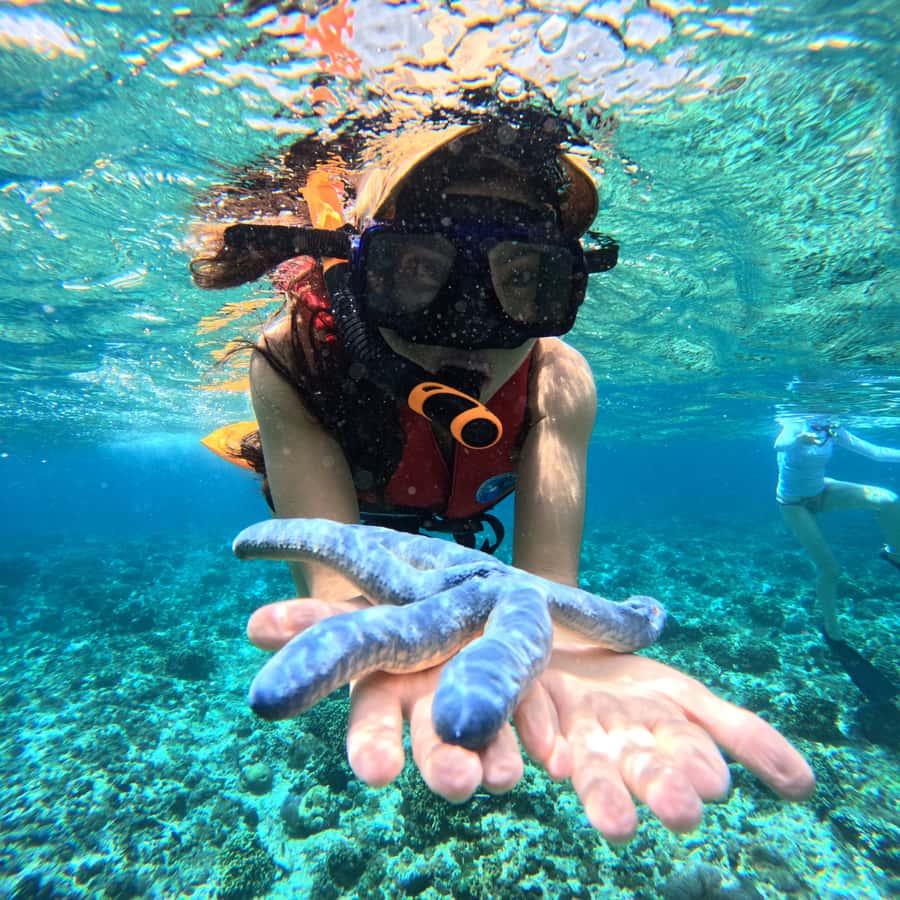 From Sanur : Snorkeling and Land Excursion at Nusa Penida - Price and value: is $104 fair for this day?