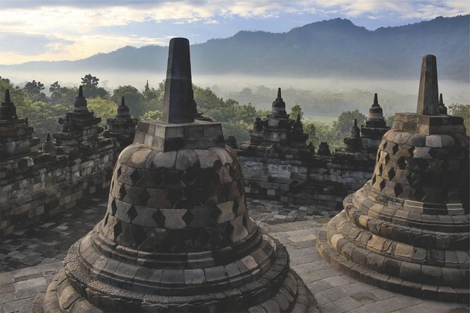 From Semarang Port: Borobudur Temple Private Shore Excursion - Cruise timing: getting there before the big group
