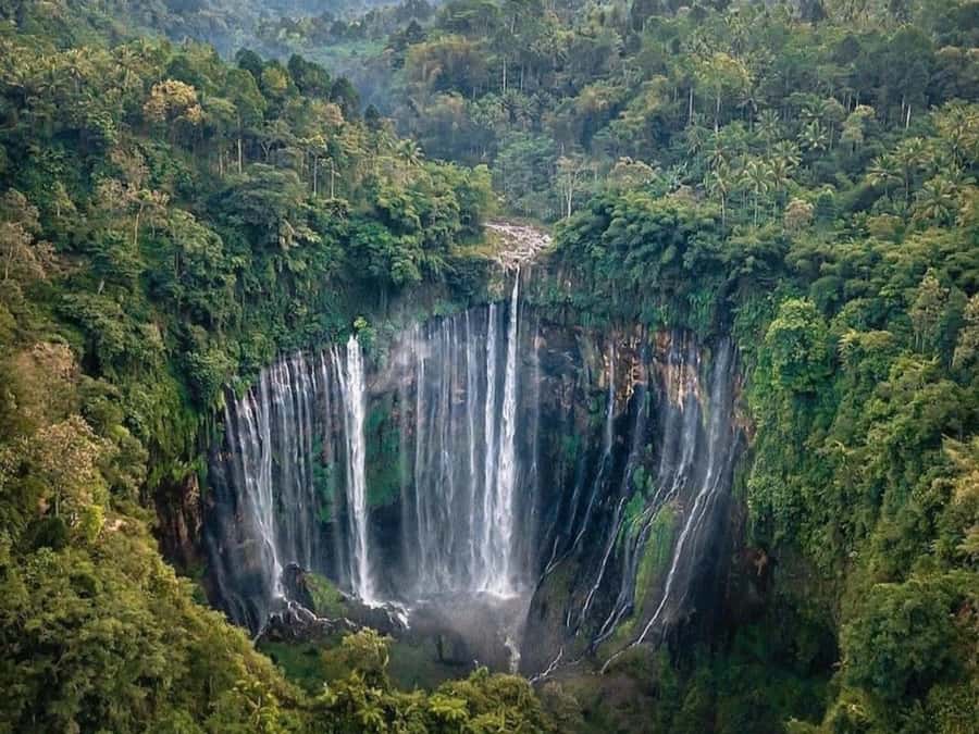 From Surabaya/Malang : Bromo, Ijen, Tumpaksewu in 3 days - The transfer days: why the AC driver and timing matter