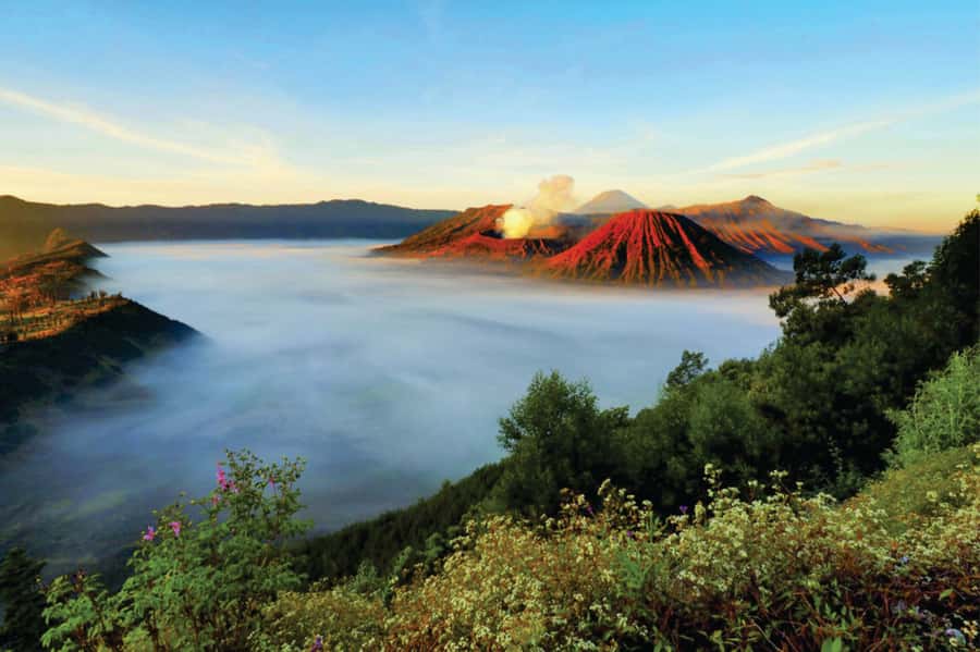 From Surabaya: Mt. Bromo Sunrise Private Trip - After Sunrise: Sea of Sand, Crater Views, and the 30-Minute Climb