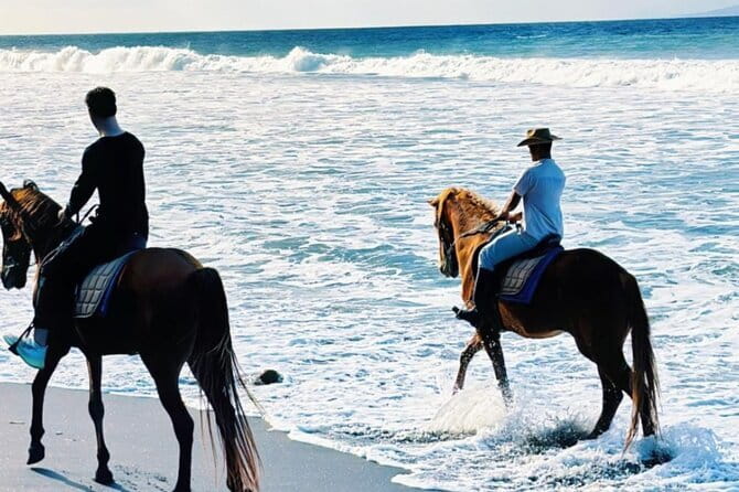 From Ubud 1 Hour Horse Riding at The Beach Experiences - Beach Ride Basics From Ubud: How the 1-Hour Plan Works