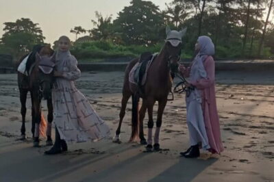From Ubud 1 Hour Horse Riding at The Beach Experiences - Saba Beach On Horseback: What You’ll Actually Experience