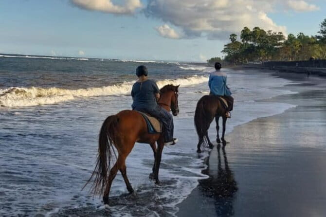 From Ubud 1 Hour Horse Riding at The Beach Experiences - Weather-Dependent Beach Fun: What Happens If Conditions Turn