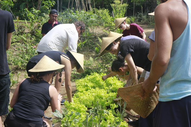 From Ubud: Authentic Bali Farm Cooking School & Organic Farm - Group size and comfort: why it feels personal