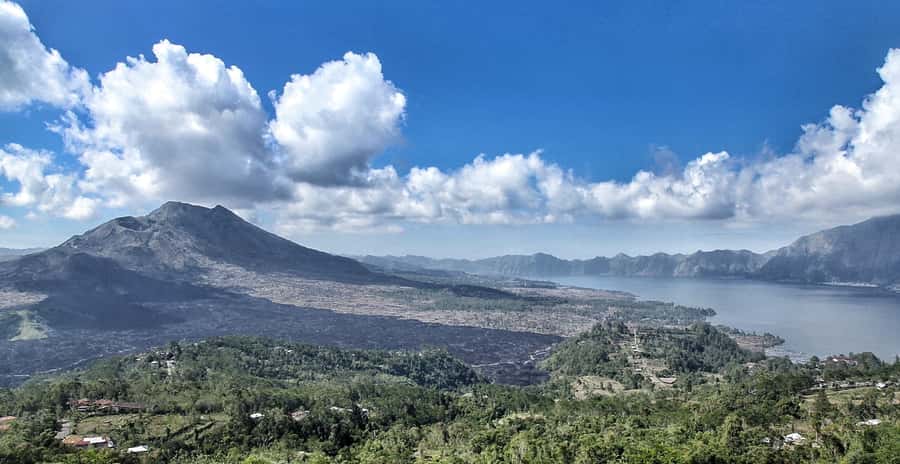 From Ubud: Downhill Bike Tour with Rice Terraces and Meal - Key highlights you’ll feel right away
