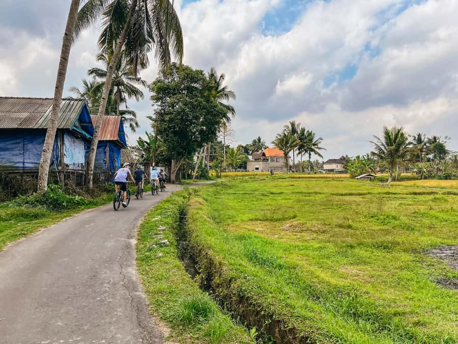 From Ubud: Downhill Bike Tour with Rice Terraces and Meal - From Kintamani slopes down to Ubud: what the ride is really like