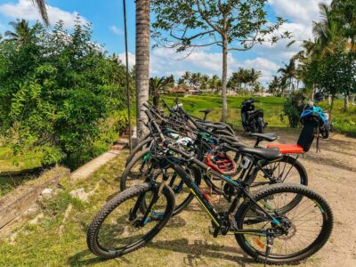 From Ubud: Downhill Bike Tour with Rice Terraces and Meal - Pick-up in Ubud and the drive to the start point