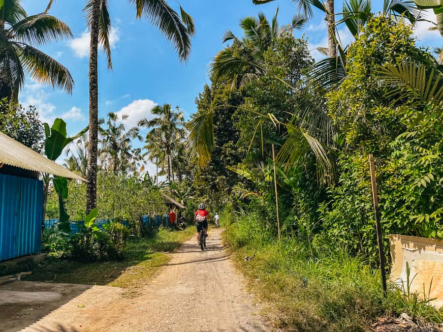 From Ubud: Downhill Bike Tour with Rice Terraces and Meal - UNESCO rice terraces and subak irrigation: what you’re actually seeing