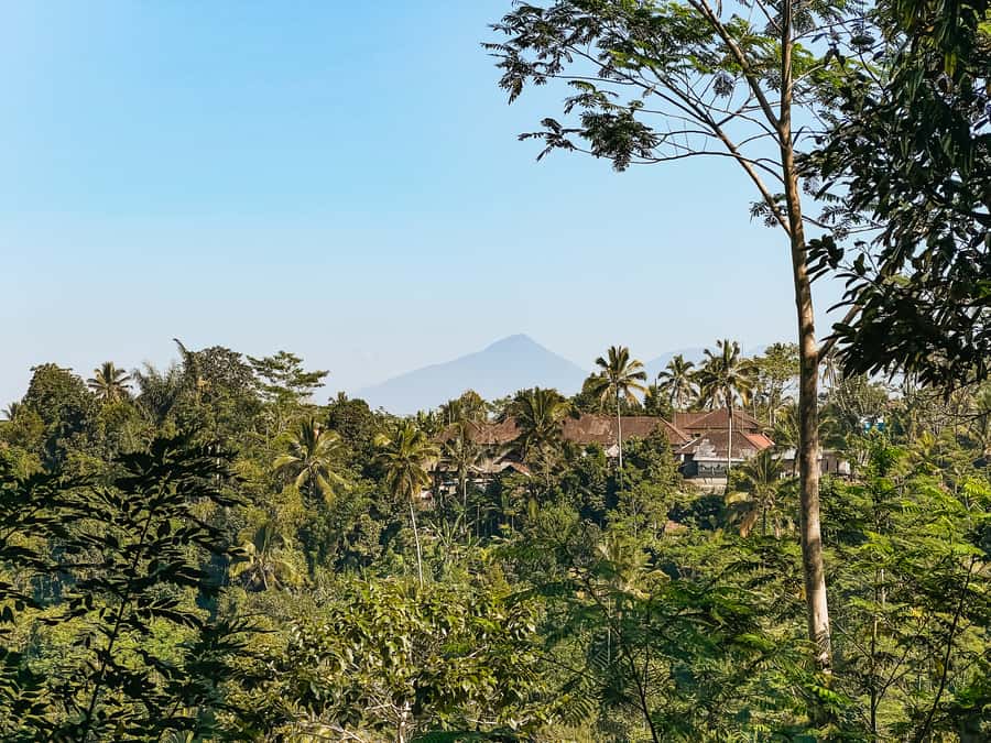 From Ubud: Downhill Bike Tour with Rice Terraces and Meal - Safety and bike setup: helmets, hand signals, and brake time