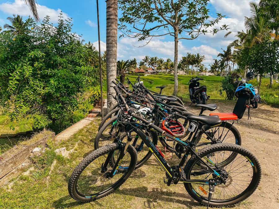 From Ubud: Downhill Bike Tour with Rice Terraces and Meal - Pick-up in Ubud and the drive to the start point