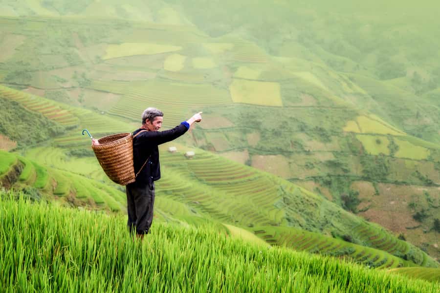 From Ubud: Evening Firefly Tour in Taro Village - Getting to Taro Village without losing your evening