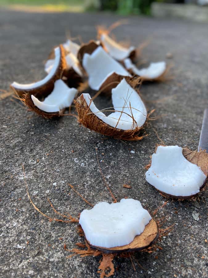 From Ubud: Traditional Bali Coconut Oil Class - Price and timing: getting the most from a 90-minute stop