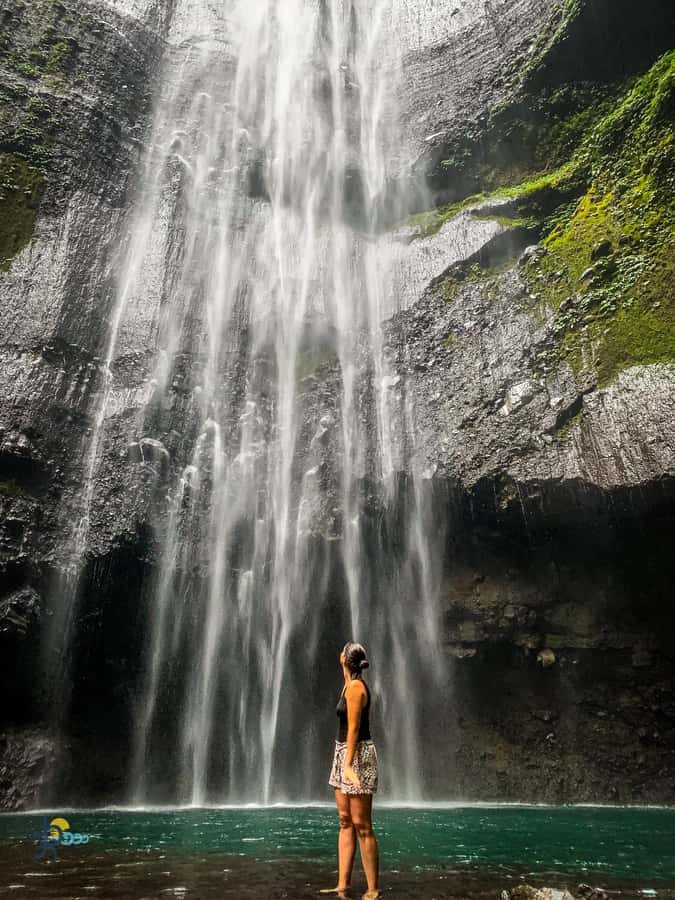 From Yogyakarta : Bromo-Ijen-Ketapang Port (3D2N) - Sand sea to the crater: horses, stairs, and the Mt Batok photo moment