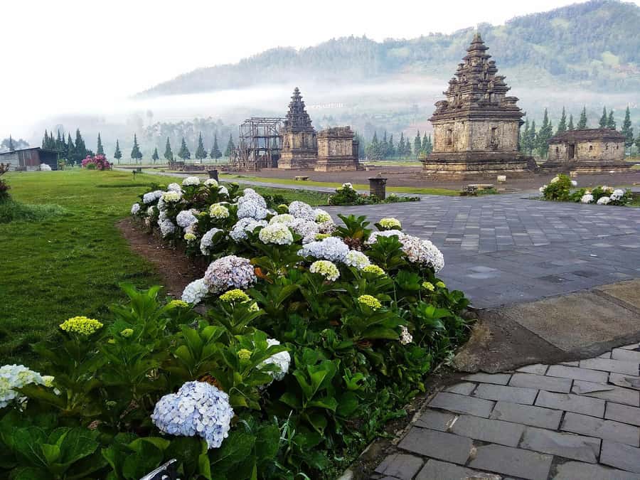 from Yogyakarta: Dieng, Dawn's Embrace & Cultural Treasures - Sikidang Crater and Ratapan Angin Stone: Steam, Smell, and Wind