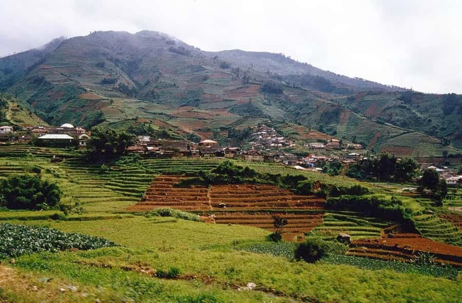 From Yogyakarta : Dieng Plateau Fullday Tour - Color Lake: chasing color without expecting perfect weather