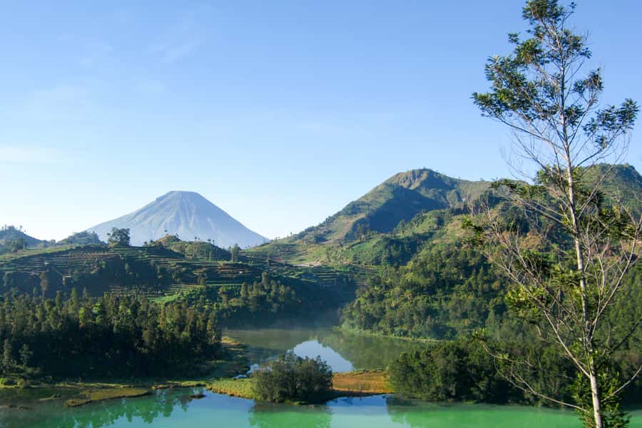 From Yogyakarta: Dieng Plateau Golden Sunrise Guided Trip - Quick take: why this Dieng sunrise day feels special