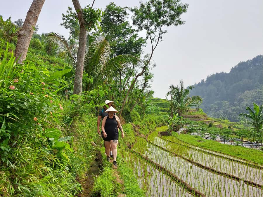 From Yogyakarta: Hidden Waterfall & Selogriyo Rice Terraces - Should you book this Hidden Waterfall & Selogriyo tour?
