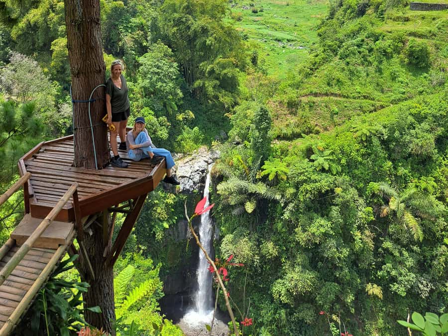 From Yogyakarta: Hidden Waterfall & Selogriyo Rice Terraces - Leaving Yogyakarta: pickup, small group pace, and air-conditioned comfort