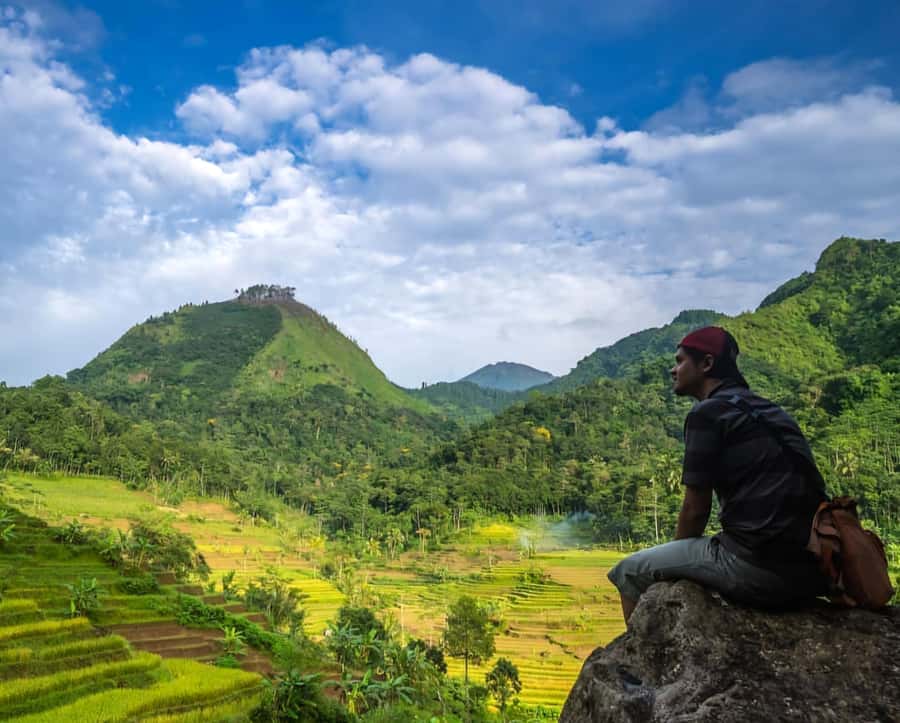 From Yogyakarta: Hidden Waterfall & Selogriyo Rice Terraces - Selogriyo rice terraces: farmer encounters and the coffee break you’ll remember