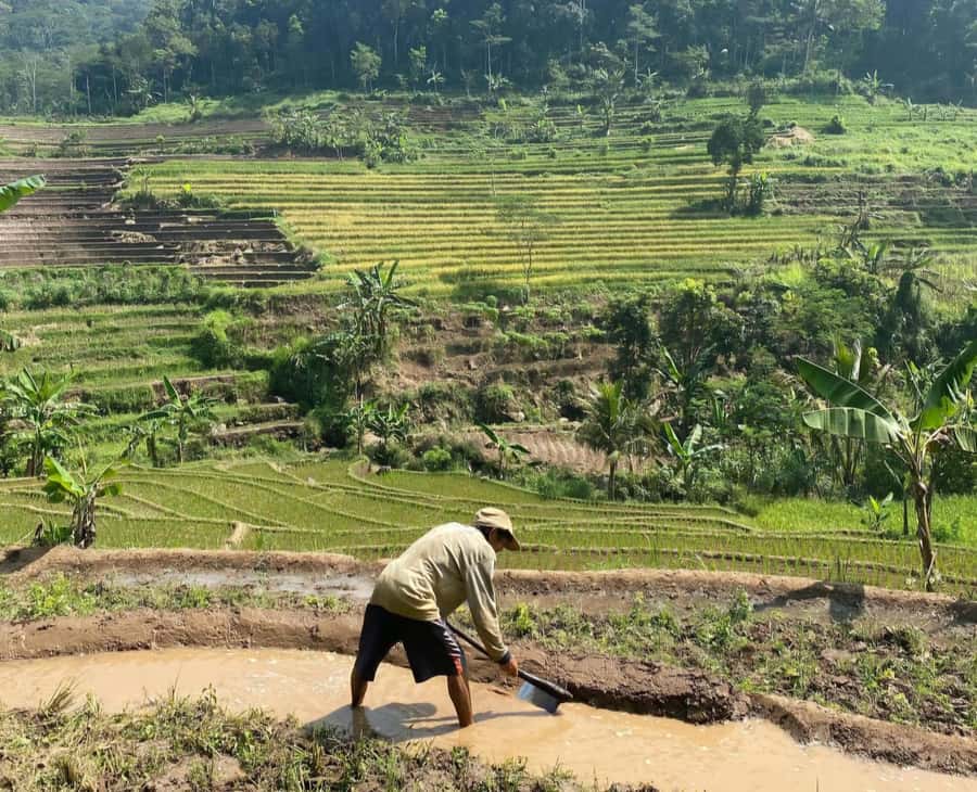 From Yogyakarta: Hidden Waterfall & Selogriyo Rice Terraces - The tour team and photography: why the guide matters on both hikes