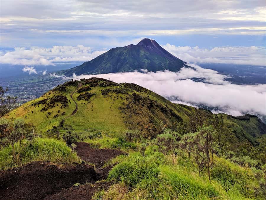 From Yogyakarta: Mount Merbabu One Day Hiking Tour - Selo Village to Post 4: your tropical forest ascent