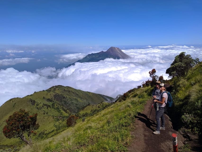 From Yogyakarta: Mount Merbabu One Day Hiking Tour - Post 4 onward: when the trail opens into green savannas