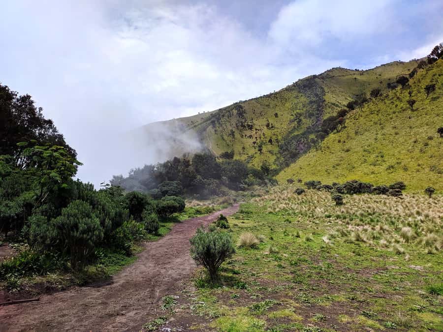 From Yogyakarta: Mount Merbabu One Day Hiking Tour - Reaching 3,142m: summit break and the Merapi view from close by