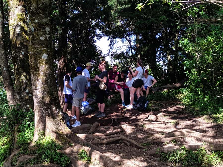 From Yogyakarta: Mount Merbabu One Day Hiking Tour - The descent is the real test of your ankles and shoes