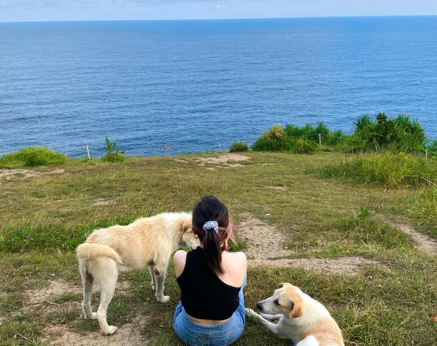 From Yogyakarta: Pengilon Hill and Hidden Beach - Key things to know before you go