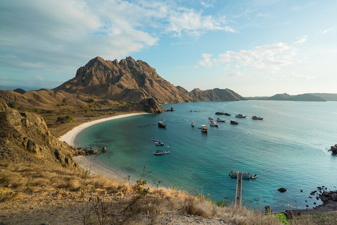 Full-Day Adventure Tour to komodo Island with join Speed Boat tur - Pink Beach Swim and Snorkel Time (Plus the Shallow-Water Strategy)