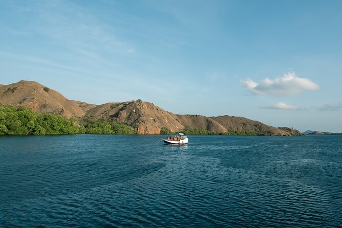 Full-Day Adventure Tour to komodo Island with join Speed Boat tur - What’s Included, What’s Not, and How the $130 Value Works