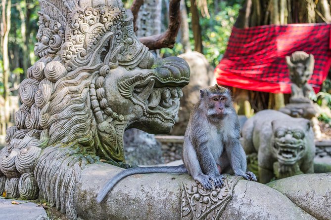 Full-Day Ayung River White Water Rafting and Ubud Tour - Tegenungan Waterfall: The Green Finale After the Rapids