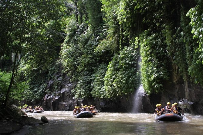 Full-Day Ayung River White Water Rafting and Ubud Tour - Value Check: Is $45 Worth It for a Combo Day in Bali?