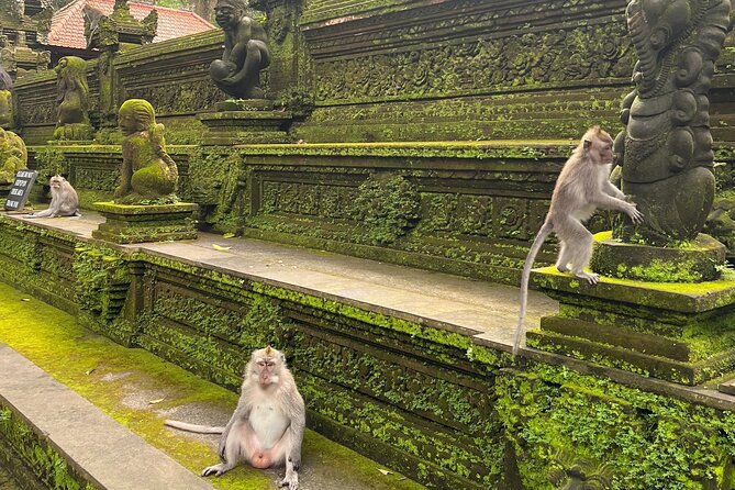 Full Day Best of Ubud Private Tour - Tegenungan Waterfall: the must-see stop, with realistic expectations
