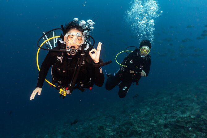 Full-Day Discover Scuba Diving Tour for Beginners in Tulamben - First-timer scuba in Tulamben: why this day feels manageable
