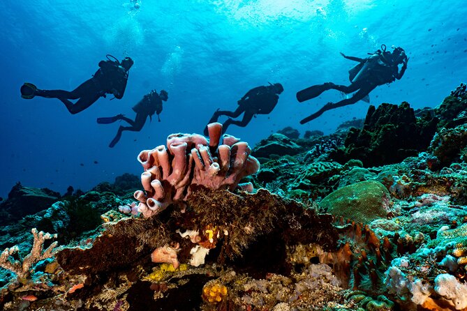 Full-Day Discover Scuba Diving Tour for Beginners in Tulamben - Getting there and fitting 11 hours into your Bali day