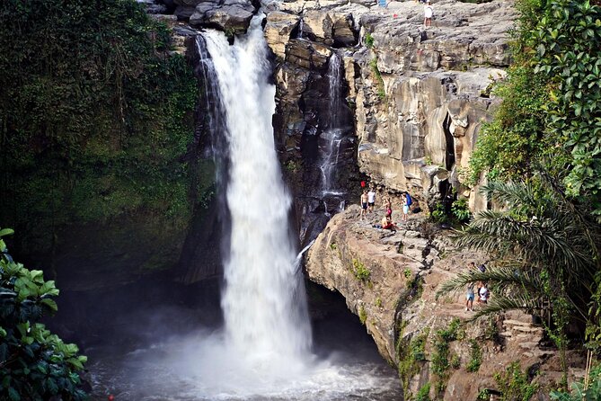 Full-Day Highlights and Best of Ubud Village - Price and Tickets: Does $70 Actually Make Sense?