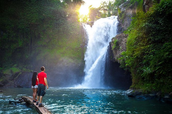 Full-Day in Bali: Amazing Ubud Tour - Tegalalang Rice Terrace: cliff-edge scenery with palm-trimmed photo angles