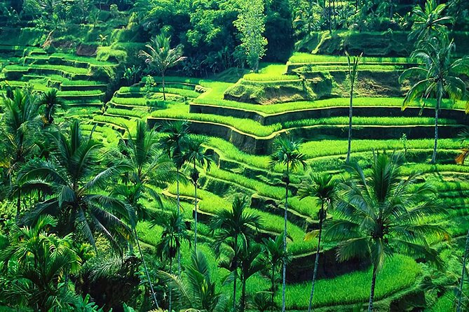 Full-Day in Bali: Amazing Ubud Tour - Tegenungan Waterfall: planning for big views (and getting a little damp)