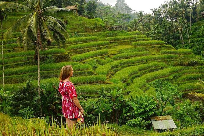 Full-Day in Bali: Private Design-Your-Own Tour - Price and value: what $35 really covers
