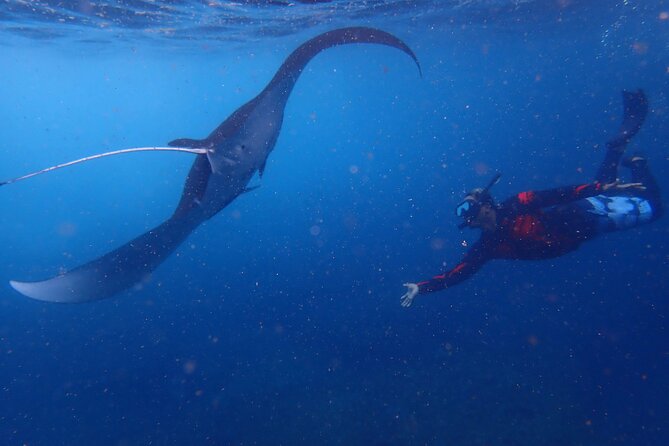 Full-Day Island-Hopping Tour from Bali - Snorkeling in Lembongan and Nusa Penida: the real heart of the day