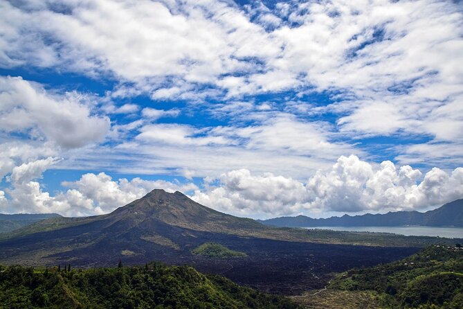 Full Day Kintamani Volcano View and Ubud Village Tour - Key takeaways before you go