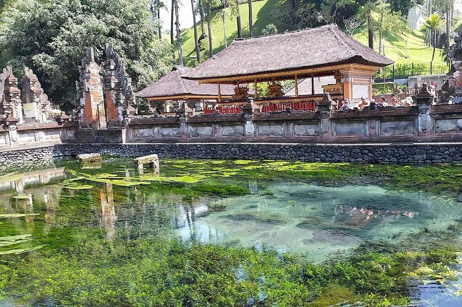 Full Day Kintamani Volcano View and Ubud Village Tour - Tirta Empul Temple: holy springs and purification
