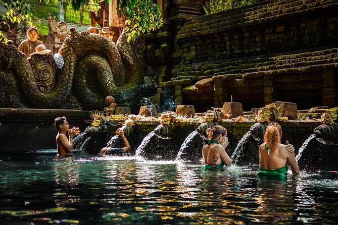 Full Day Kintamani Volcano View and Ubud Village Tour - Price and logistics: what you’re really paying for