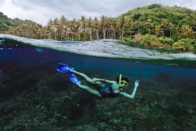 Full Day Land and Sea Tour to Nusa Penida with 4 Snorkeling Spots - Key Highlights at a Glance