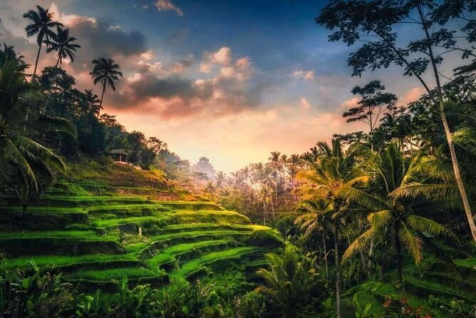 Full-Day Nusa Penida Island Private Tour with Local Guide - Stop 6: Return to Sanur Port and transfer back to Ubud