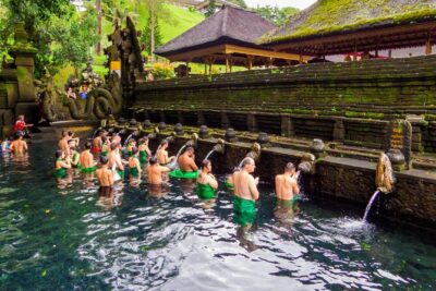 Full-Day Private Car Charter in Bali with Local Guide - Price and value: $33.60 per person, plus tickets you choose