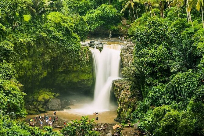 Full Day Private Guided Tour in Bali - Lumbung Sari House of Coffee: What the Coffee Stop Adds
