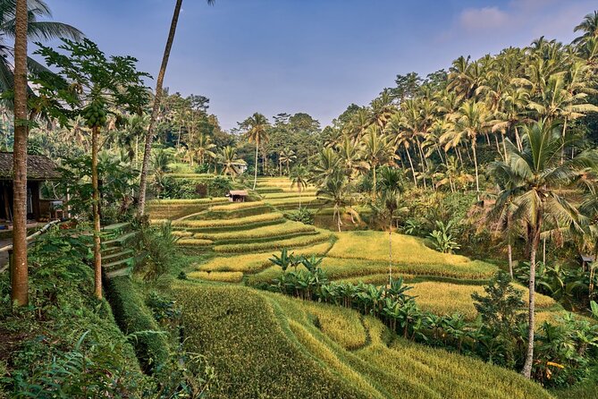 Full Day Private Guided Tour to Bali - A private Bali day from Ubud that actually feels flexible