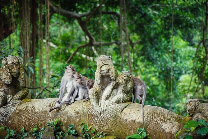 Full Day Private Guided Tour to Bali - Tegalalang Rice Terrace: cliffs, terraces, and a slow moment